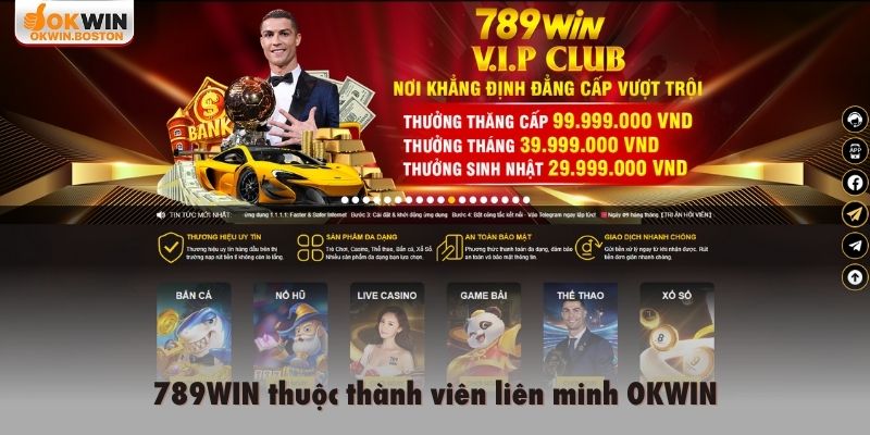 789WIN thuộc thành viên liên minh OKWIN