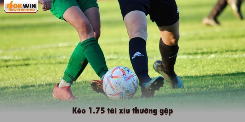 Kèo 1.75 tài xỉu thường gặp