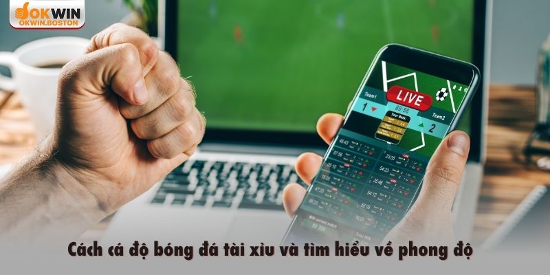 Cách cá độ bóng đá tài xỉu và tìm hiểu về phong độ