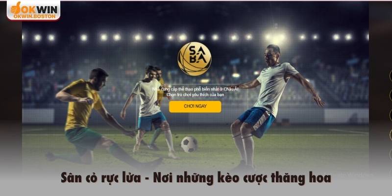 Sân cỏ rực lửa, nơi những kèo cược thăng hoa