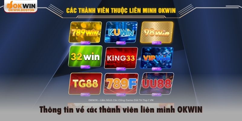 Thông tin về các thành viên liên minh OKWIN