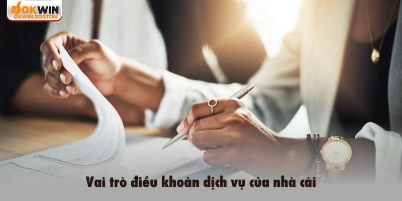 Vai trò điều khoản dịch vụ của nhà cái